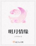 明月情缘冷长青